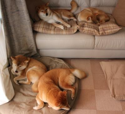 fb体育娱乐-天津男篮客场爆冷获胜，实现逆袭，天津队男篮