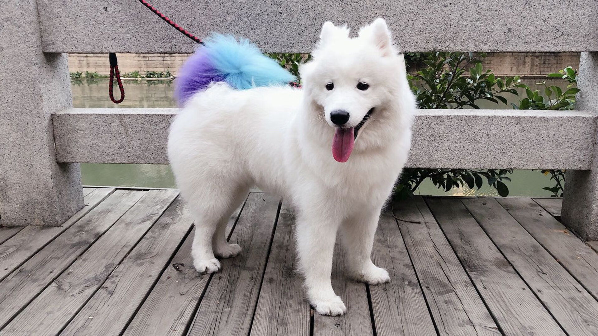 fb体育APP-篮球运动员团队凝聚力建设，篮球运动团队精神的意义