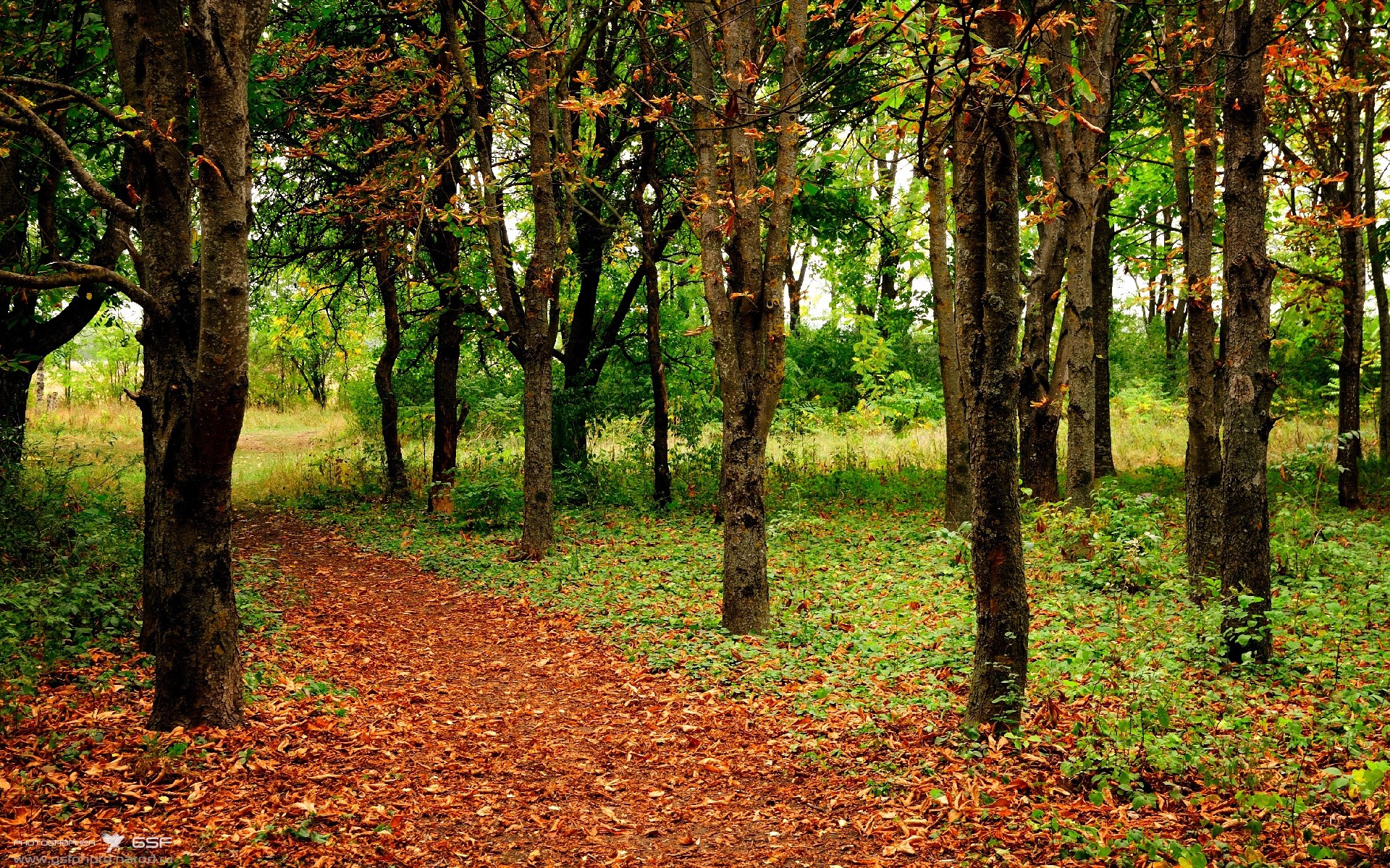 fb体育官网入口-国足年度战术执行临界失误分析图谱，国足技战术