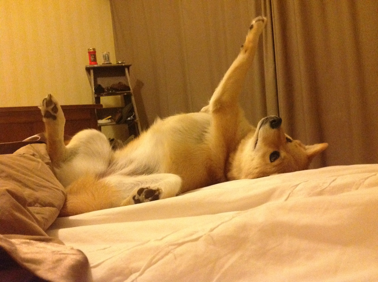 fb体育登录入口-三节领先的球队胜率数据统计，球队胜率怎么算