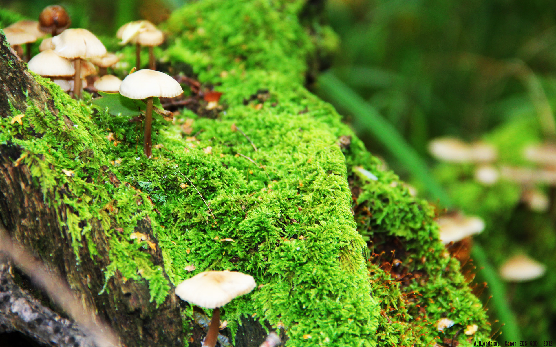 fb体育官网首页-世界杯预选赛中国青年队逆袭 球员表现突出，世界杯预选赛中国青年队逆袭 球员表现突出