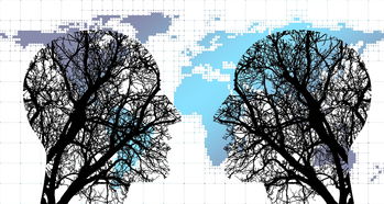 fb体育首页-体育新闻中心协同多方建立体育内容风控机制，体育新闻机构