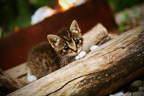 fb体育首页-马竞三线联动压制对方反击空间，马竞最后三轮对手